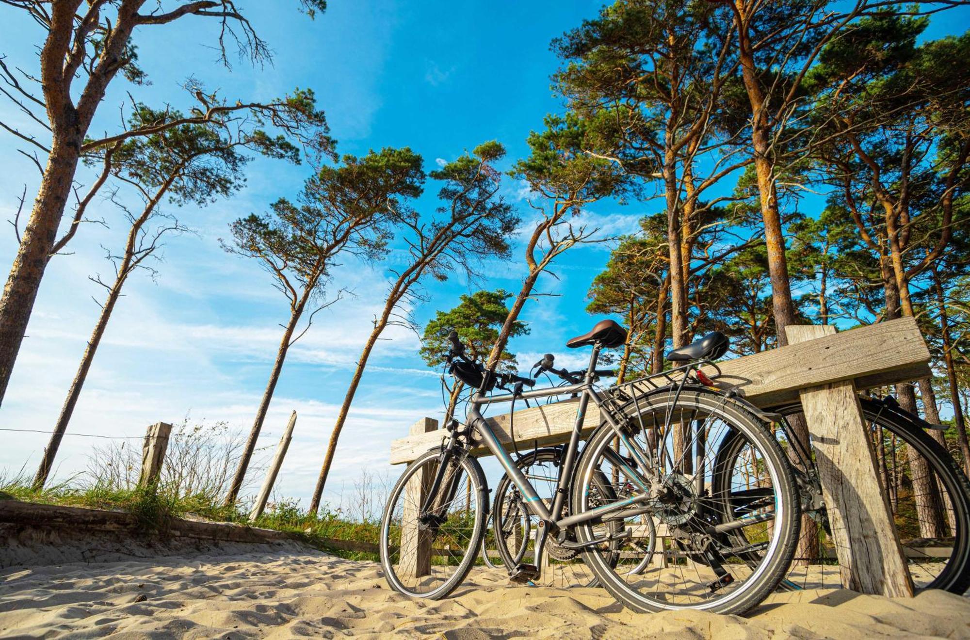 Meeresbrise Im Ostseeheilbad 징스트 외부 사진
