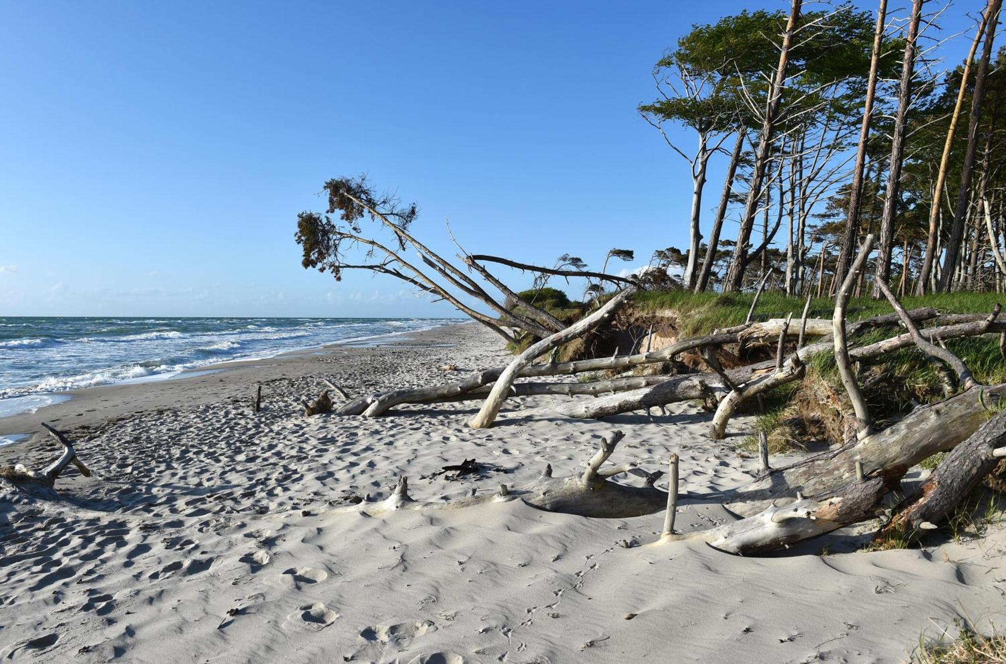 Meeresbrise Im Ostseeheilbad 징스트 외부 사진
